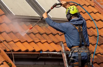 Démoussage et hydrofuge de toiture à Ambérieux